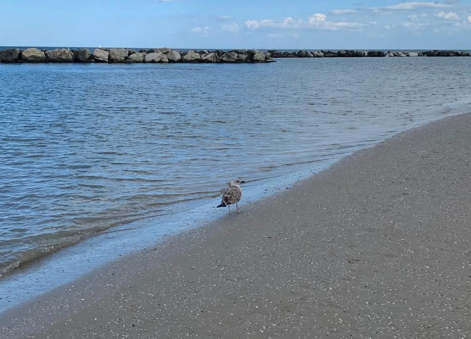 Hotel Sammaritani Rimini İtalya