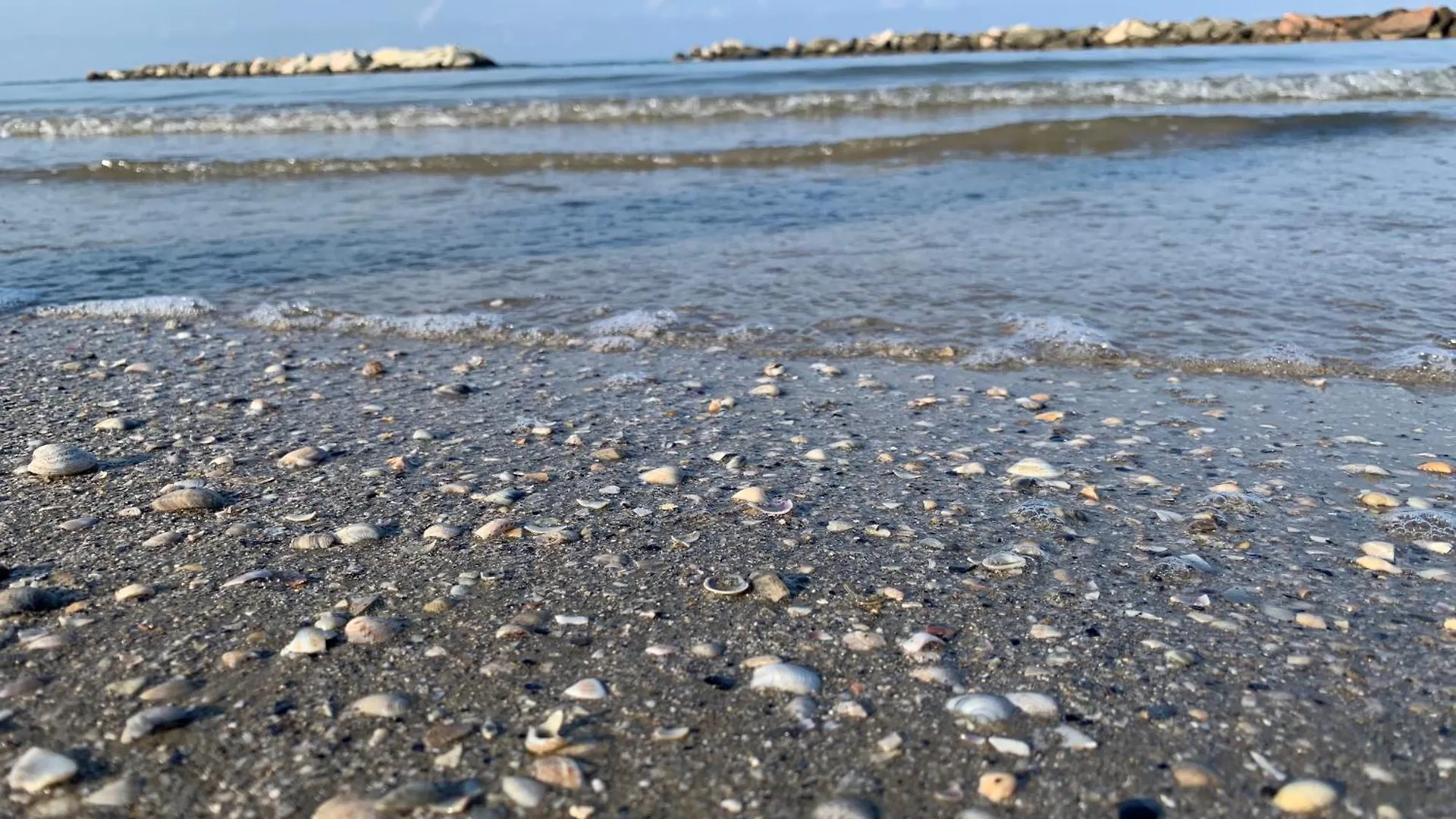Hotel Sammaritani Rimini İtalya